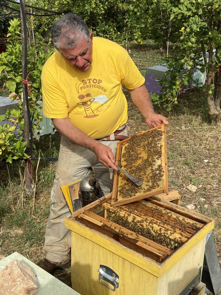 Api Manjare «Costretti a dar da mangiare alle api» - Segnali Sonori