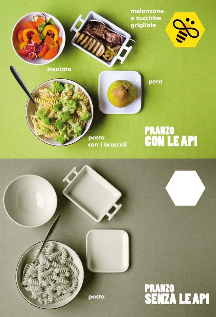 Api Manjare «Costretti a dar da mangiare alle api» - Segnali Sonori